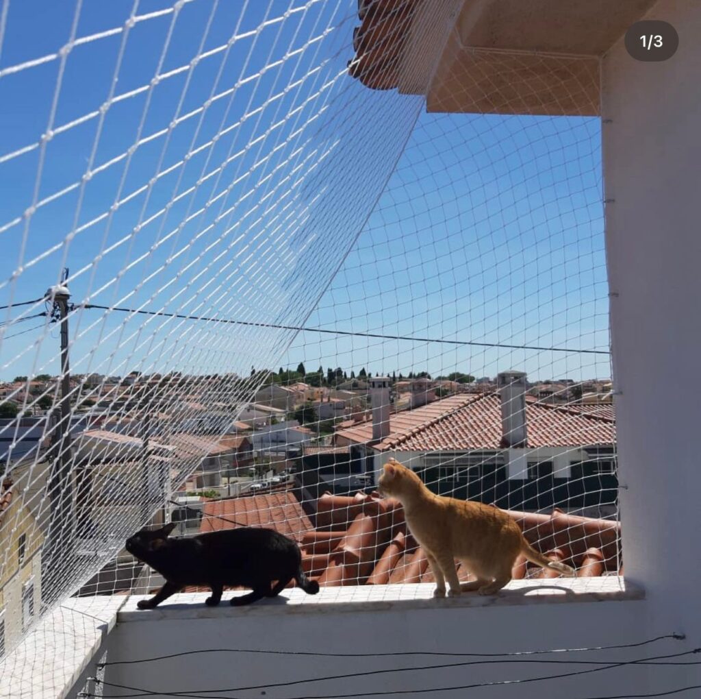 Rede Protect4You instalada em janela para proteção de gatos