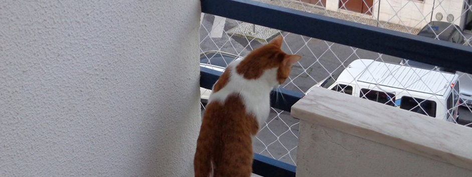 Malha 5x5 rede de proteção para gatos adultos