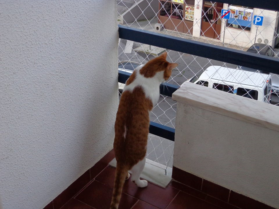 Rede de proteção Odivelas para varanda com acabamento discreto