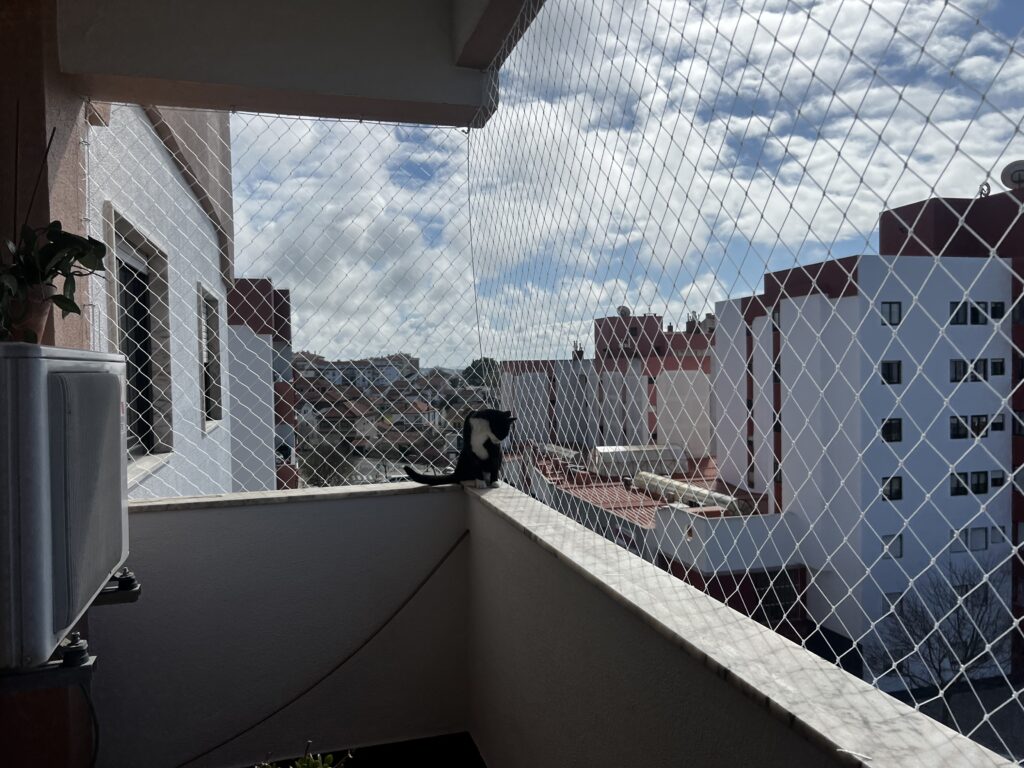 Risco de queda de gato em apartamento alto