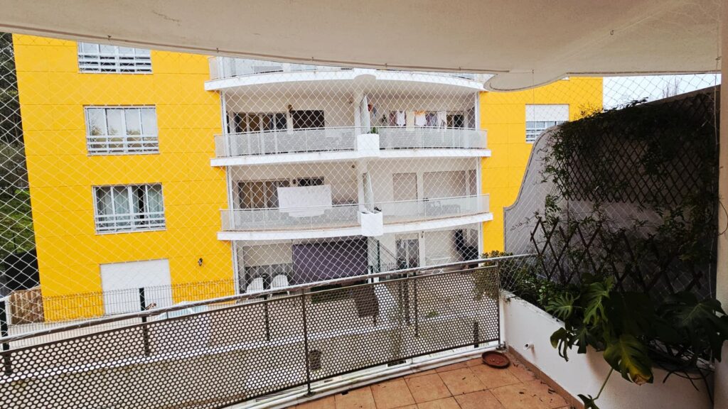 Gato na varanda de apartamento antes da instalação de rede de proteção