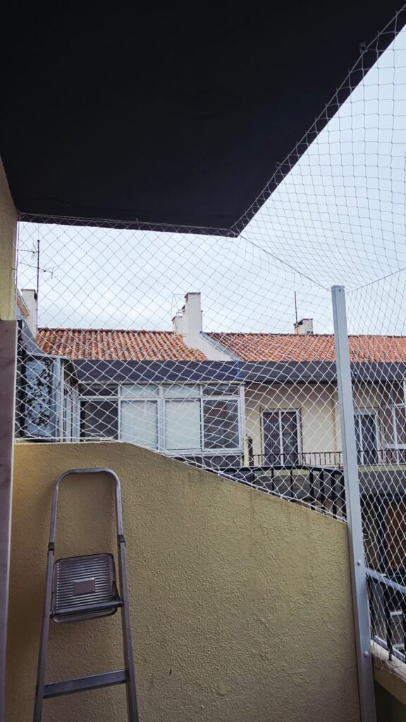 Comparação entre malha 3x3 e 5x5 para gatos