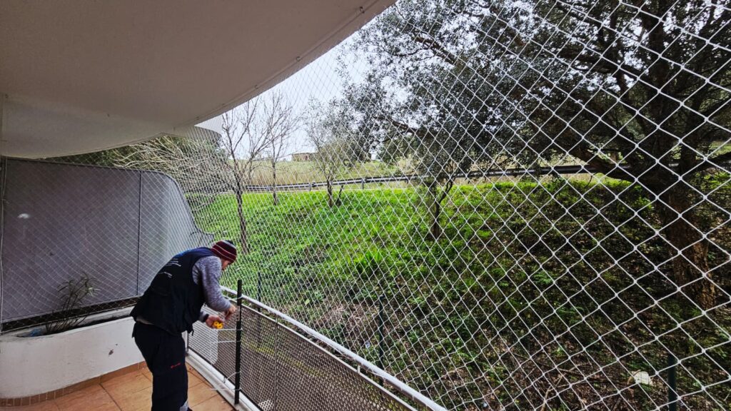 Gato observando a rua em varanda sem proteção