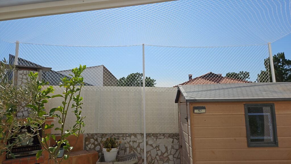 Vida útil rede gatos: Quantos anos realmente