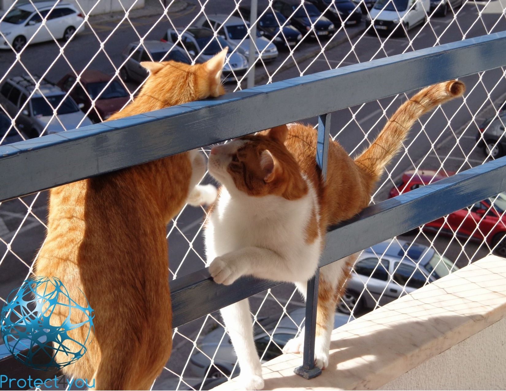 Rede para gatos em janela com segurança para pets e acabamento discreto