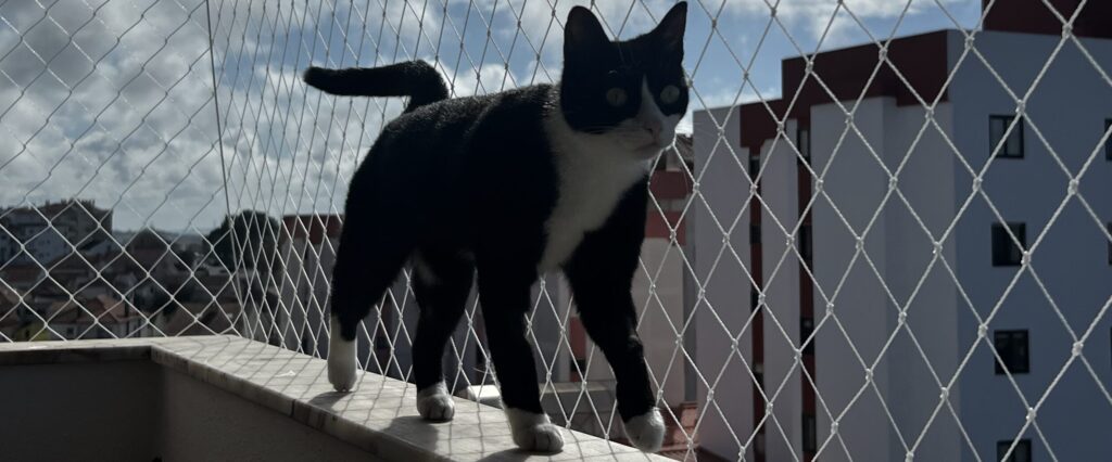 Rede para gatos instalada em varanda de apartamento com acabamento discreto