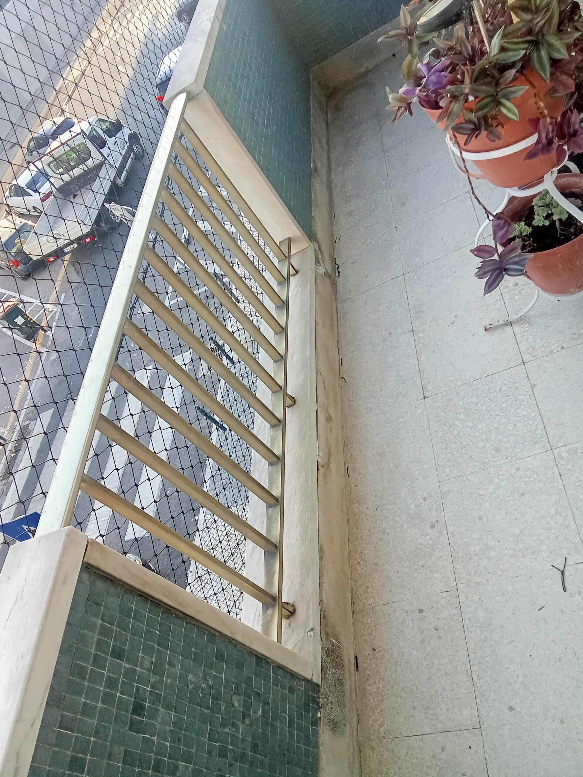 Rede para gatos instalada em varanda com fixação segura