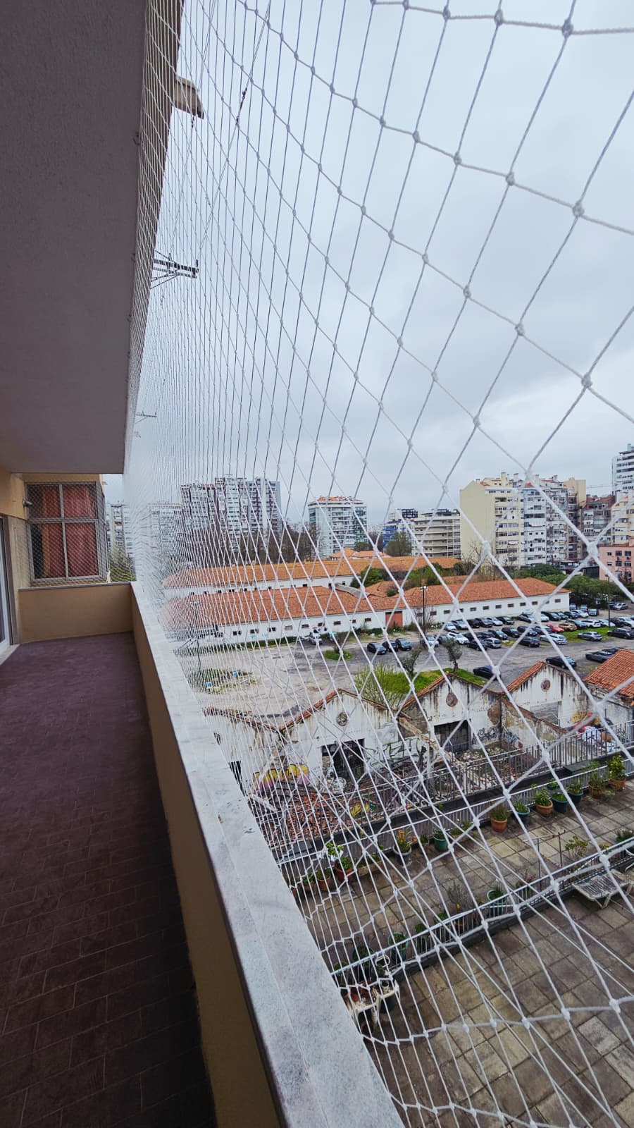 Rede proteção janela Sintra