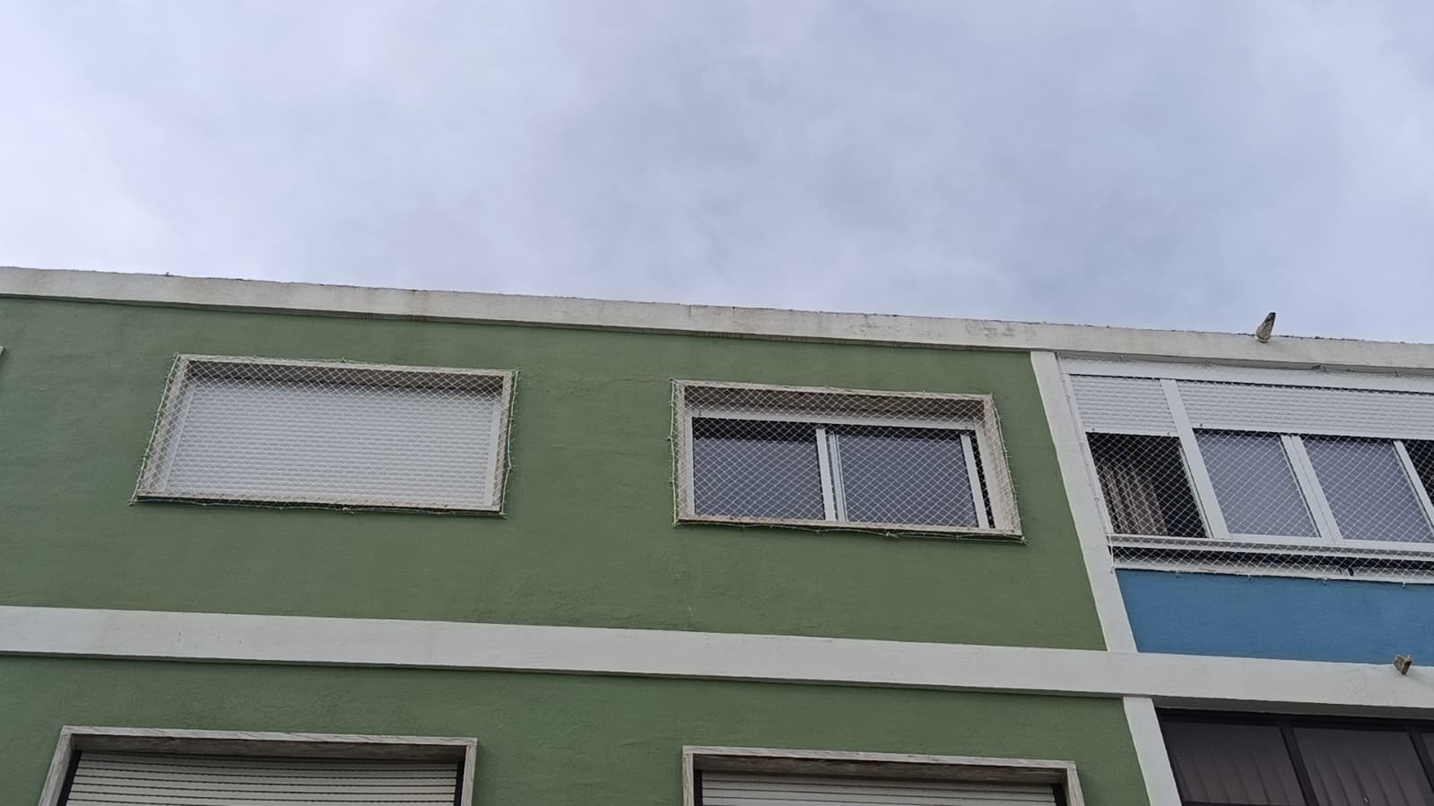 proteção para janela de apartamento em Almada para gatos