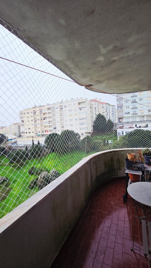 rede de proteção para gatos em Cascais