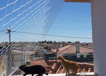 rede de proteçao gatos nao morde