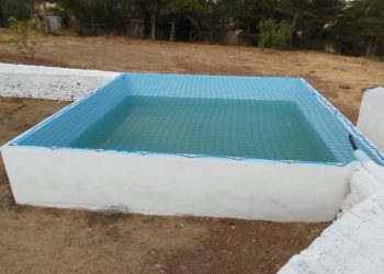 Rede de proteção Protect4You em piscina para crianças e animais