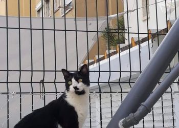 Rede de segurança Protect4You em sacada de apartamento moderno